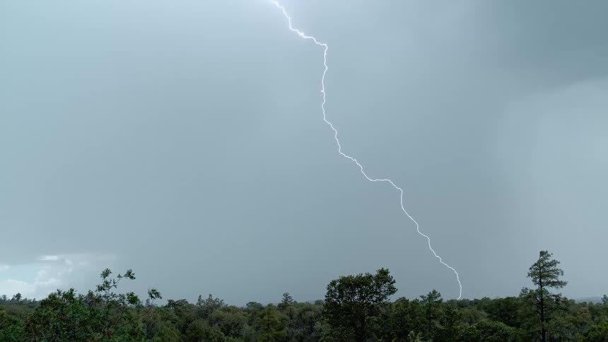 Flashes of lightning strike over a forest