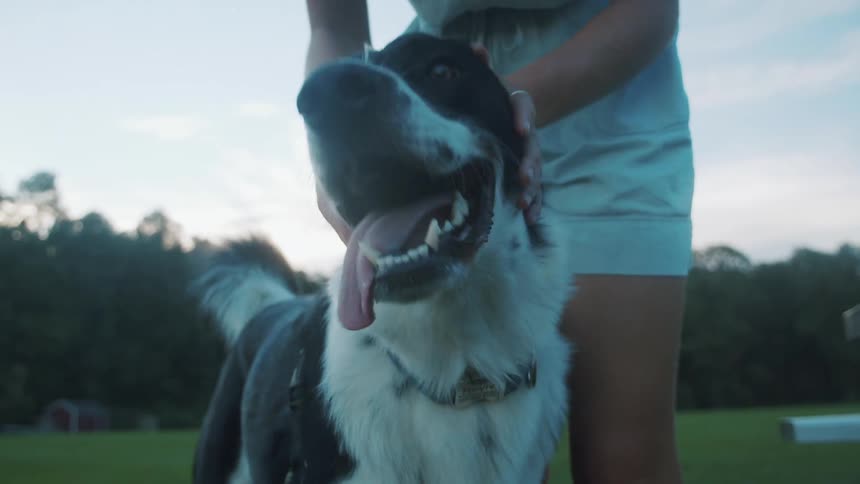 A woman pets her dog in a dog park