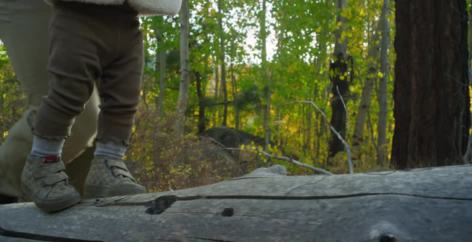 A man holds his toddlers hands as he helps her walks across a fallen tree in a forest