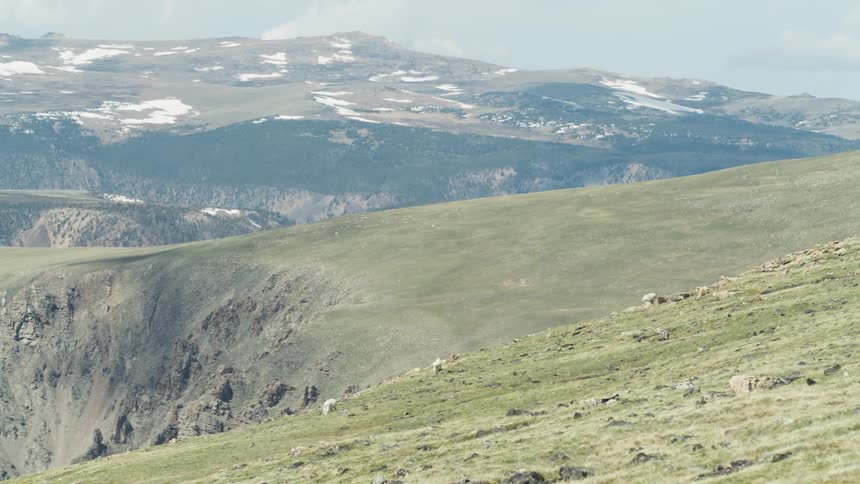 Aerial view of animals on the mountains is displayed