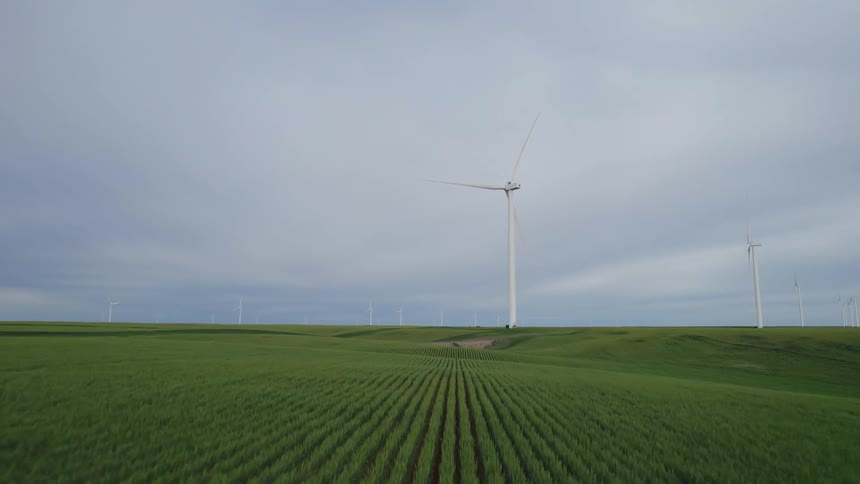 Windmill farm is displayed in a rural area