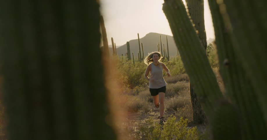 A woman is jogging in the wilderness at dusk