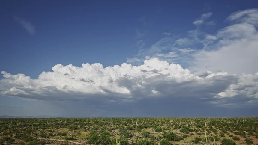 Clouds move over desert land with plants and cactus as the sky grows darker and lightning flashes on the horizon