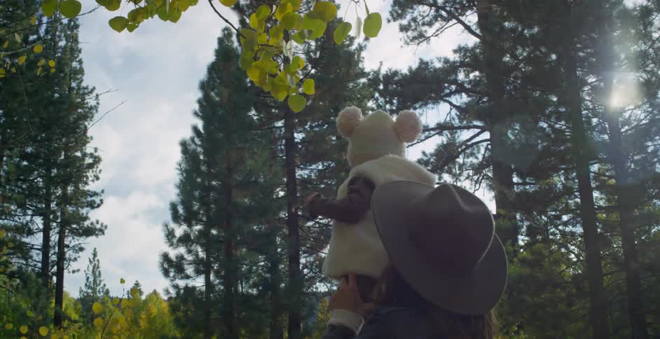 A family is hiking through the forest together