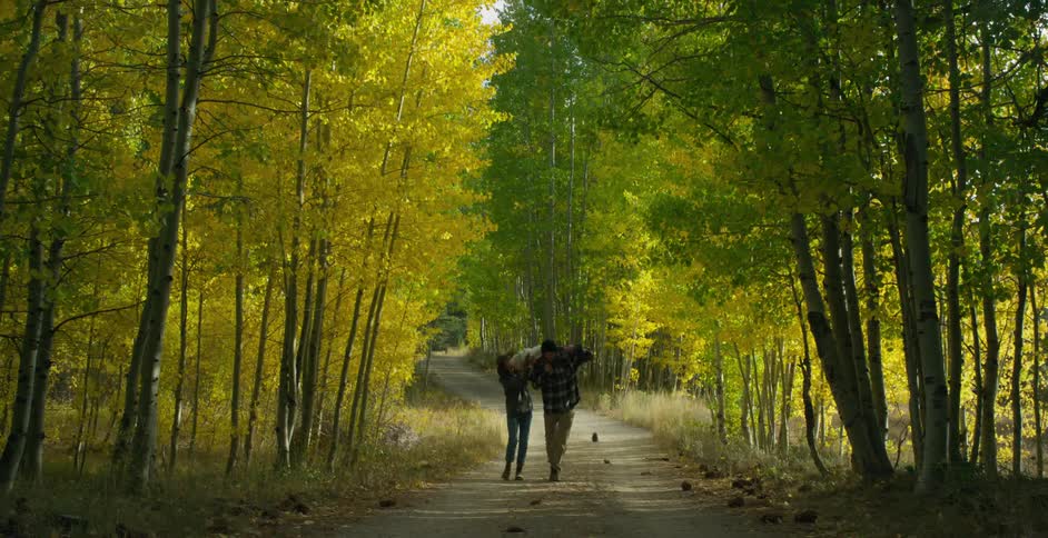 A man with a child on his shoulders walks down a path in a forest and then his wife takes the child down and carries her