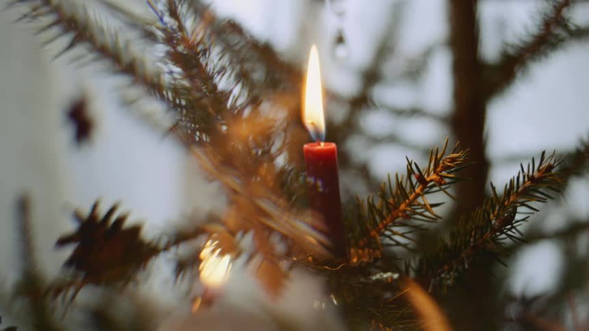 Red burning candle on christmas tree