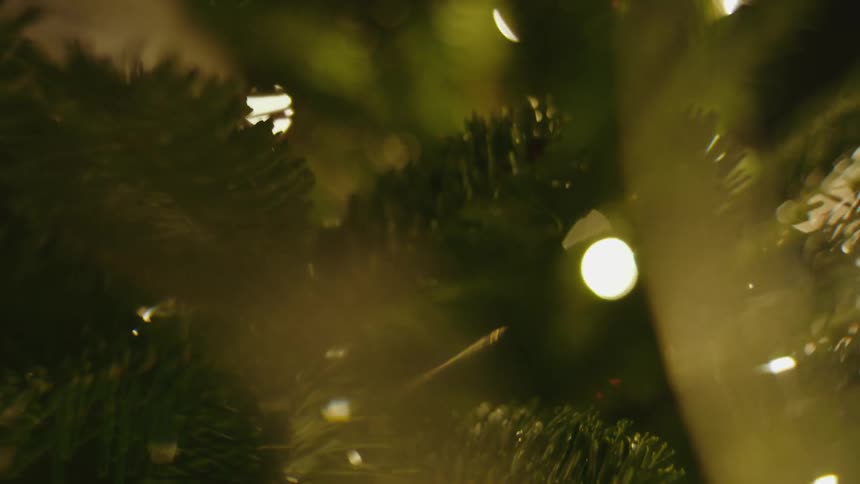 Close up of needles on a christmas tree in a house