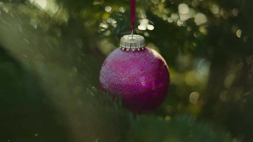 A holiday ornament hangs on a tree as the sun shines on it