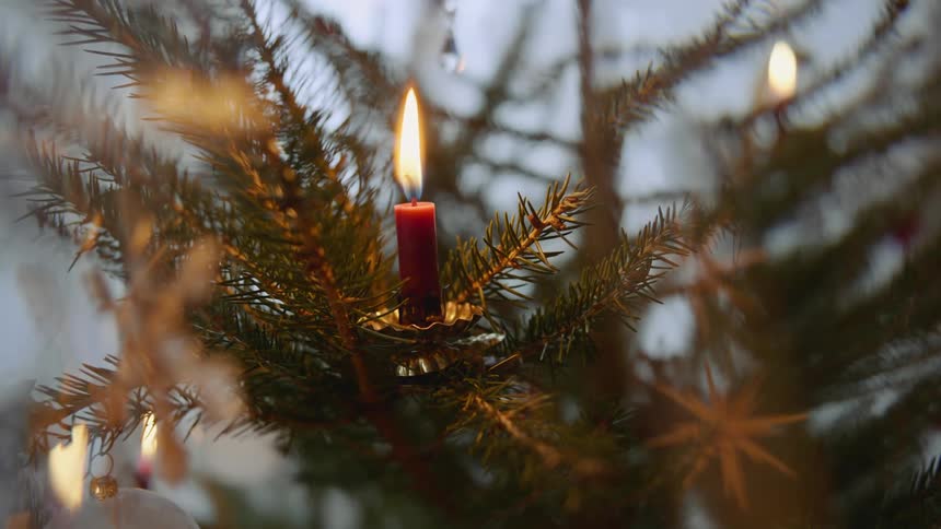 A red candle is on a tree branch and the flame is waving in the wind
