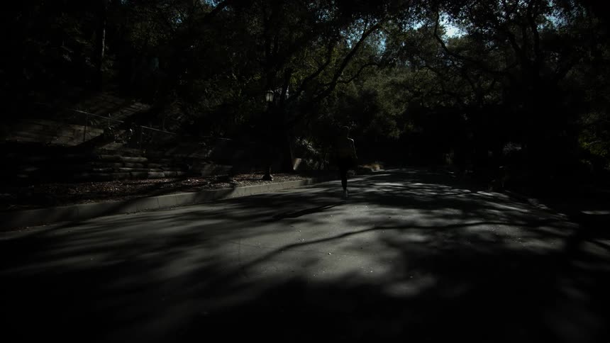 Woman jogs along shadow covered street under trees near stairs leading to building