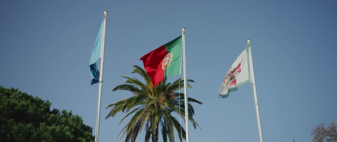 A trio of flags wave atop flagpoles on a clear day