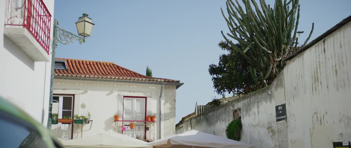 Houses in a suburban neighborhood are displayed in spring