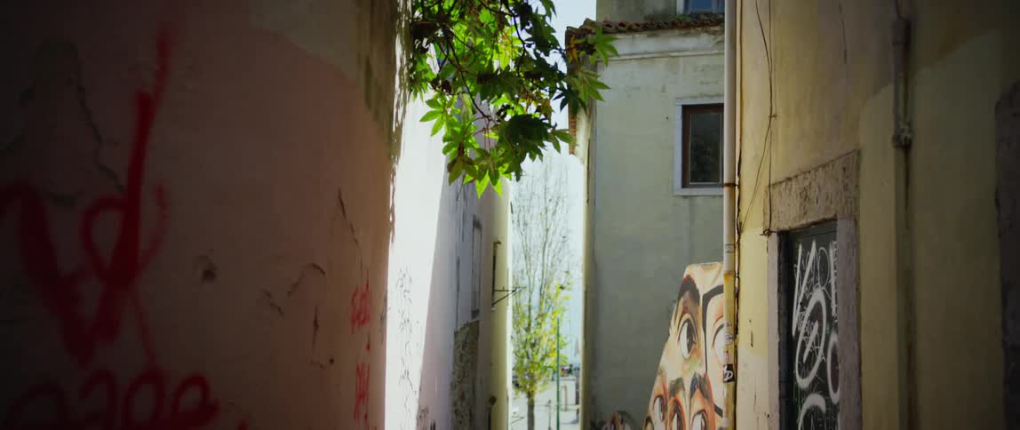 Graffitied walls in an alleyway on a summer day