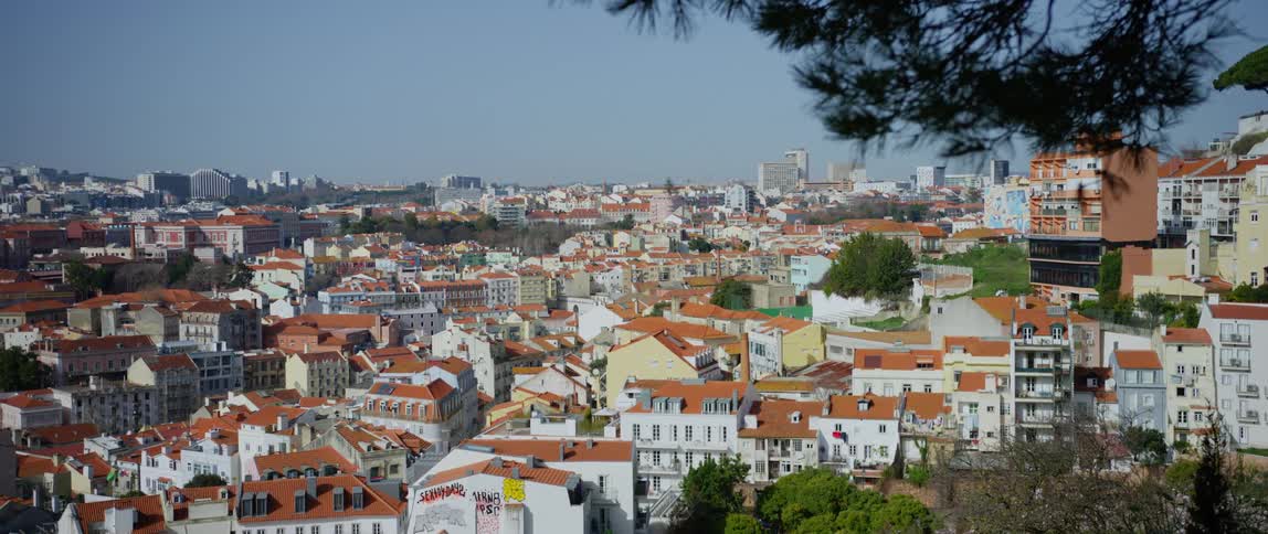 Aerial view of houses in a city is displayed