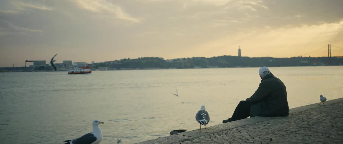 Man sits on the edge of a pier as seagulls fly and walk around him while a boat travels in the lake