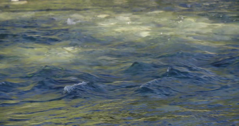 Waves form on the surface as river water flows over stone