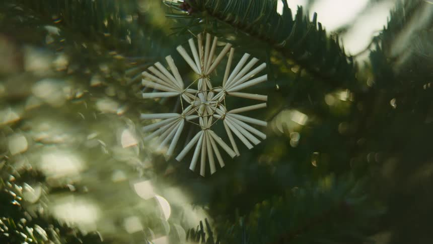 A holiday decoration hangs on a tree as the sun shines brightly through the branches
