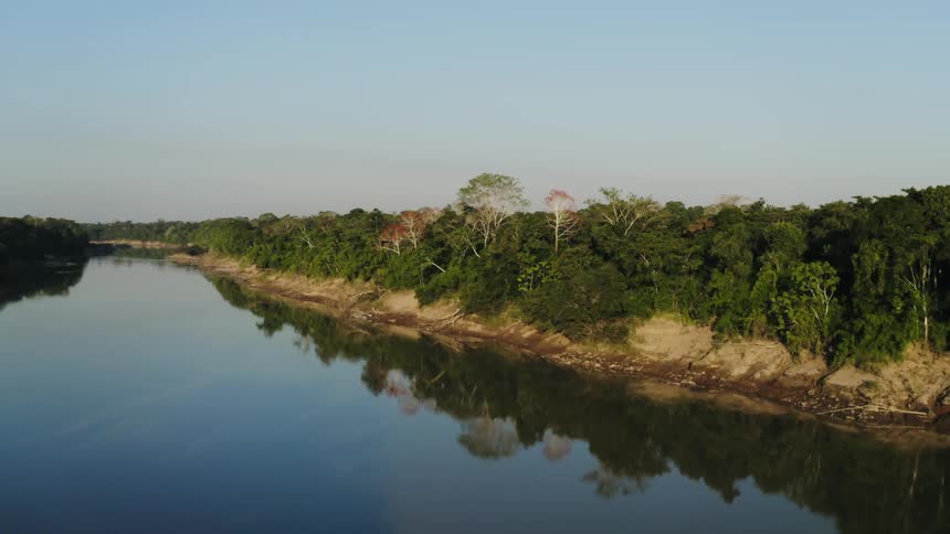 Tropical trees in a dense rainforest reflect off the river