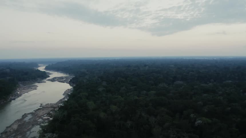 An aerial view of a forest and river on an overcast day