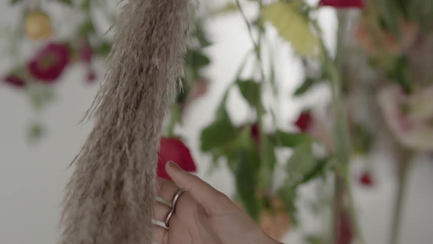 A person runs their hand over a long, brownish plant