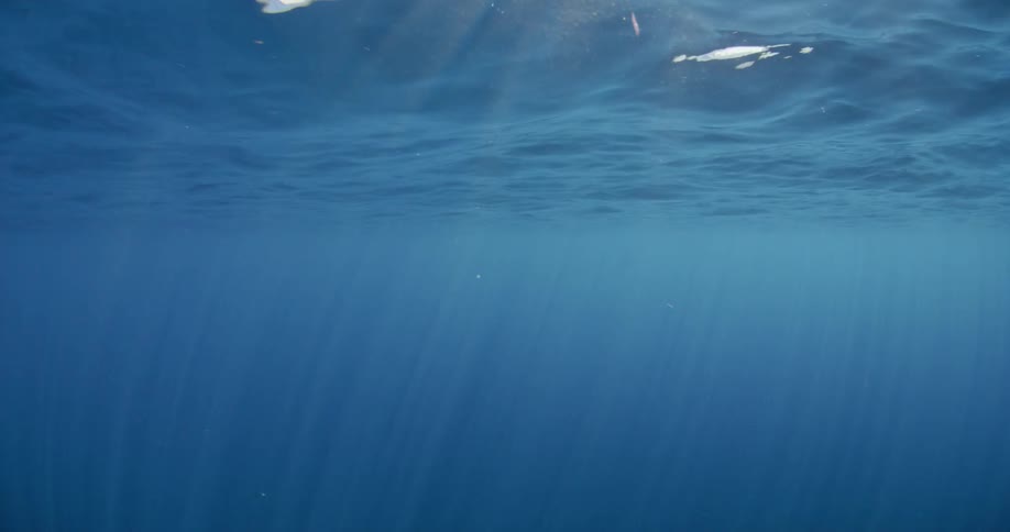 The sun is casting rays of light into ocean waters