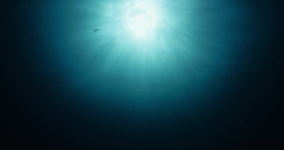 Sunlight shines through the surface of the ocean