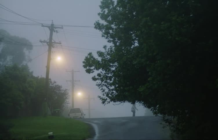 Person walks along road through dense fog as street lights shine