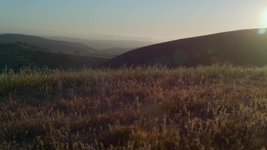 Sun shines over the hill top over the dry yellow grass waving in the wind at morning