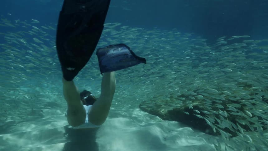 Female snorkeler swims just above seafloor and through school of fish