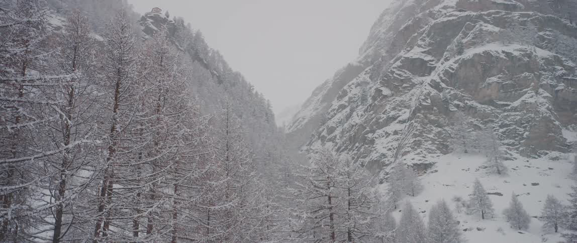 Snow falls over a forest in the valley of a mountain range