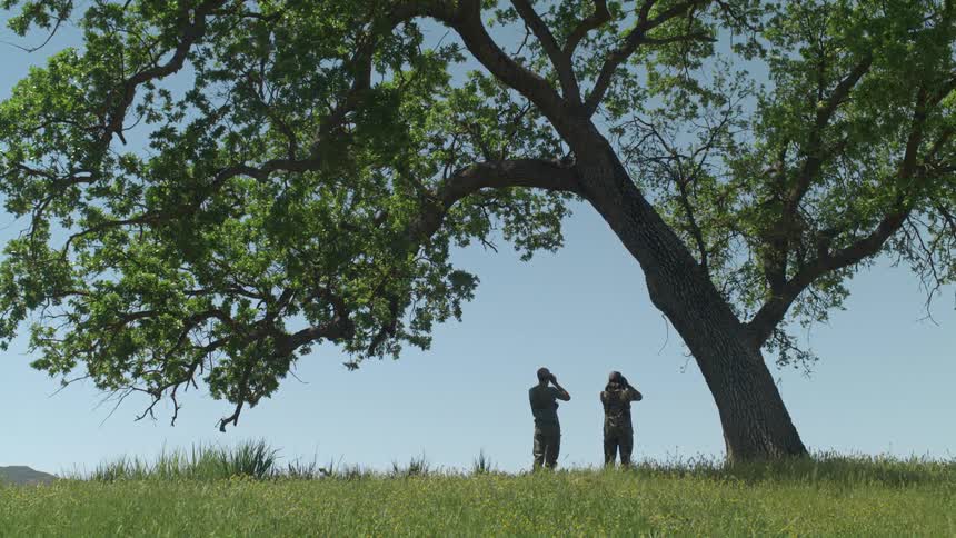 Man and woman wearing caps and backpack stands under tree looking at field through binoculars