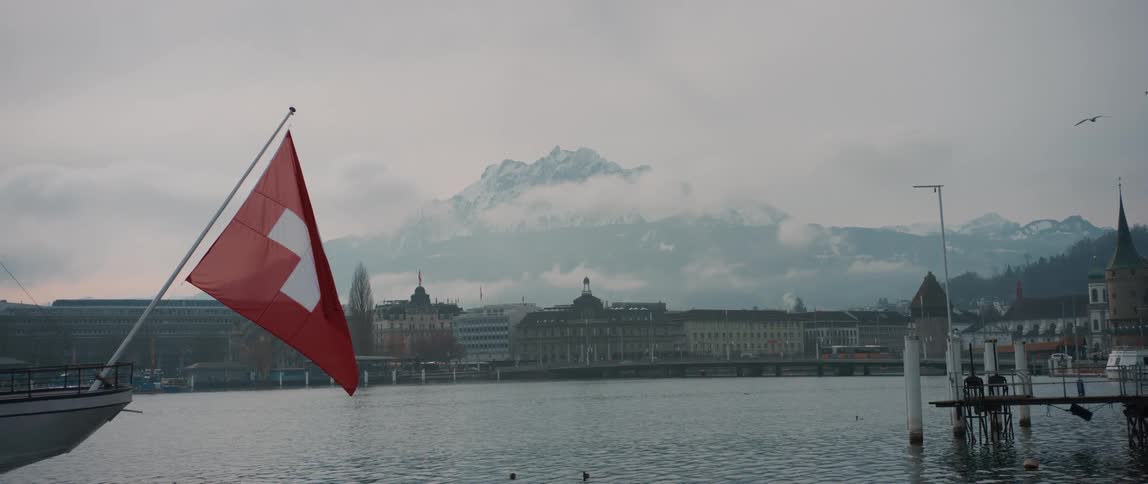 Birds flying over a lake with a skyline in the distance and the Swiss flag in front