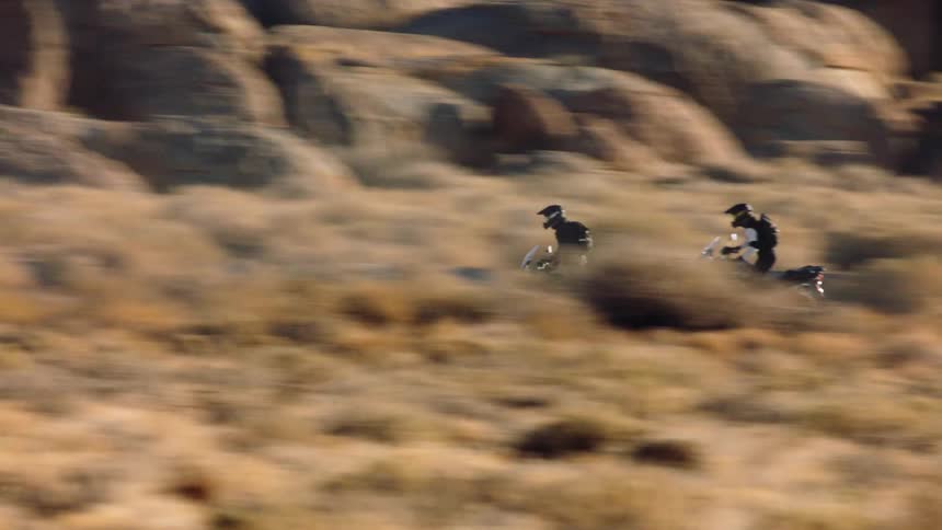 Two motorcyclists with backpacks and wearing black helmets ride motorcycles in the field near large rocks