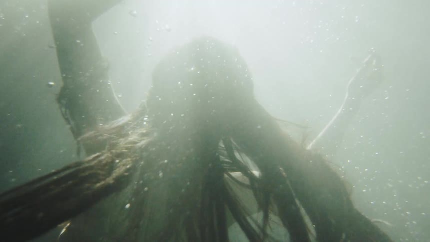 A woman relaxes her arms as she sinks under water before raising her arms to swim back up