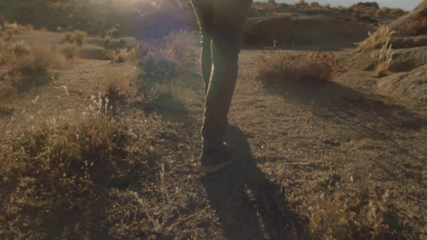 Person walking past the bushes in the desert on a sunny day