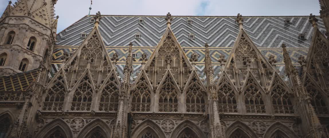 A bird flies over the cathedral