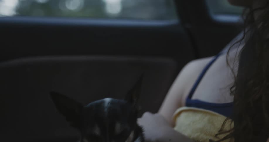 Woman riding in a car with a small dog on her lap