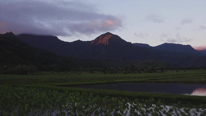 Moving over a field with water and green fields