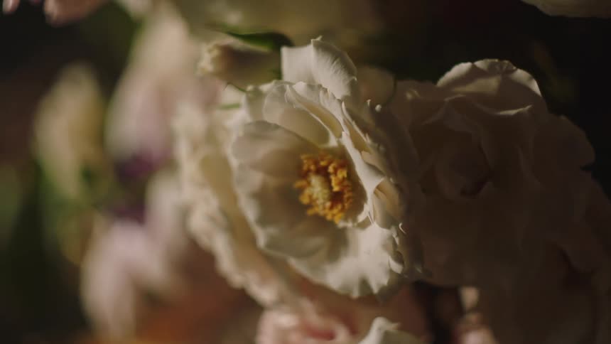 The white petals of a flower gently in the breeze