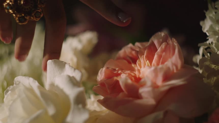 A woman reaches down to caress an array of flowers