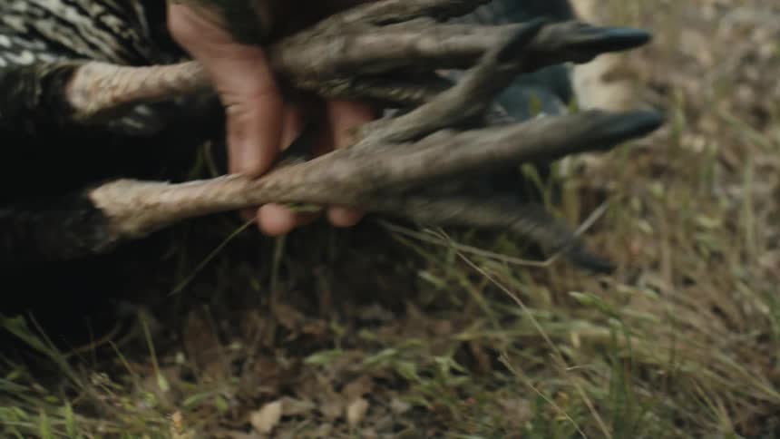 A man is hunting animals in the wilderness