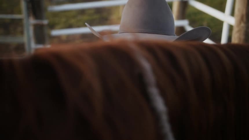 Young cowboy petting a horse