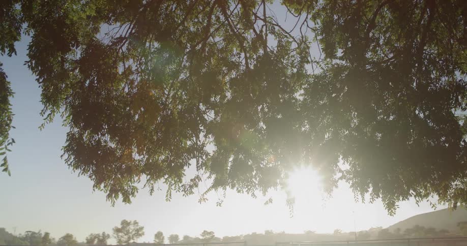 The sun is setting in arural area during spring