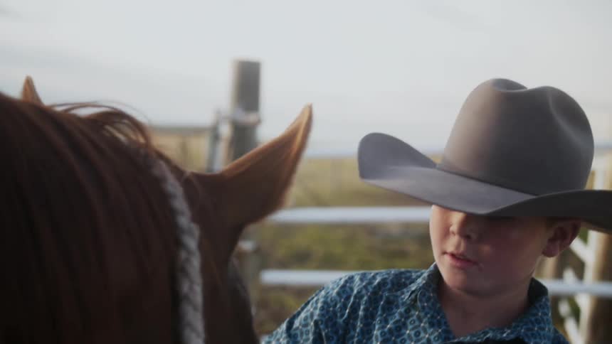A boy pets a horse