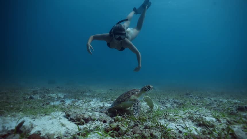 Woman with bikini mask and snorkel swims underwater next to turtle