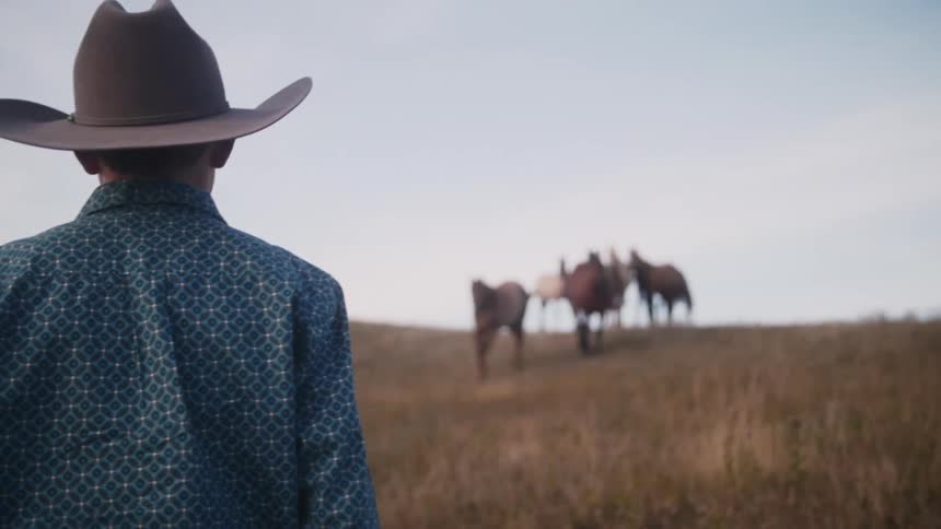 A person is walking towards horses on a hill
