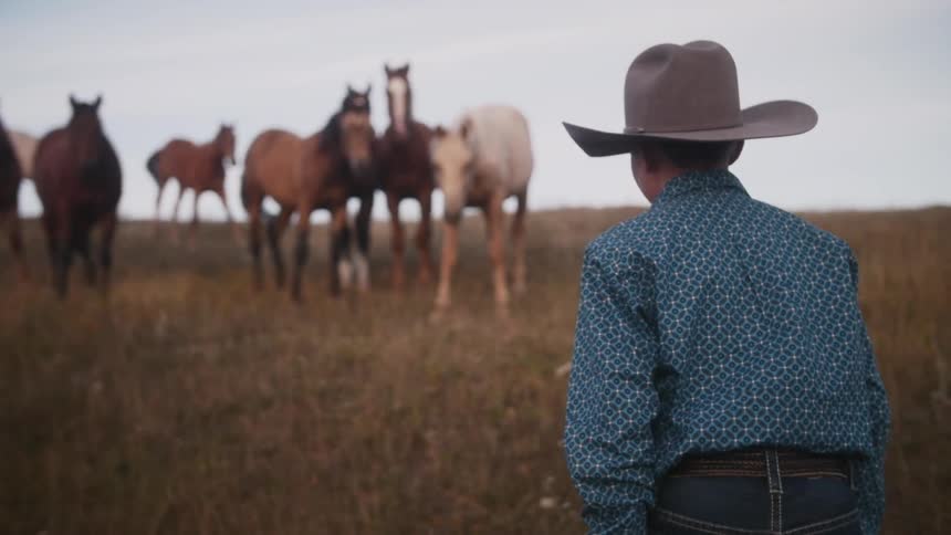 Boy standing near a group of horses in a field