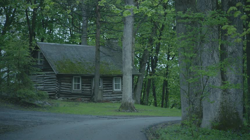 A log cabin surrounded by tall trees in summer