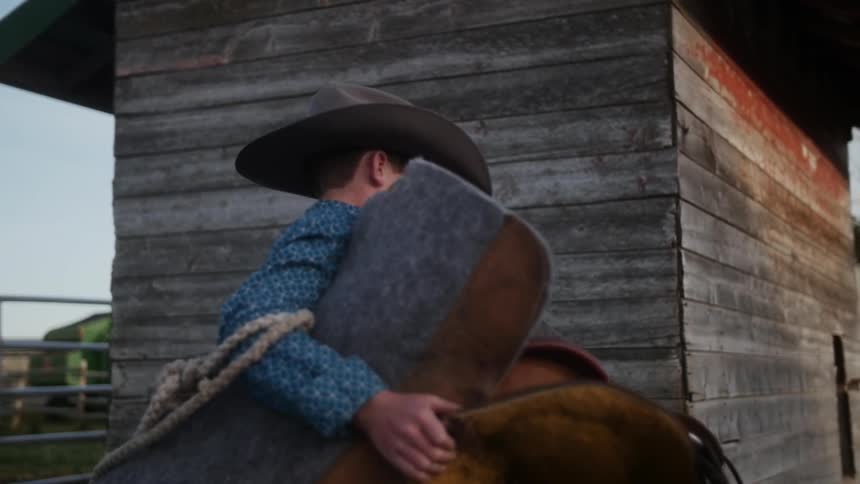 A boy is carrying a saddle towards some horses