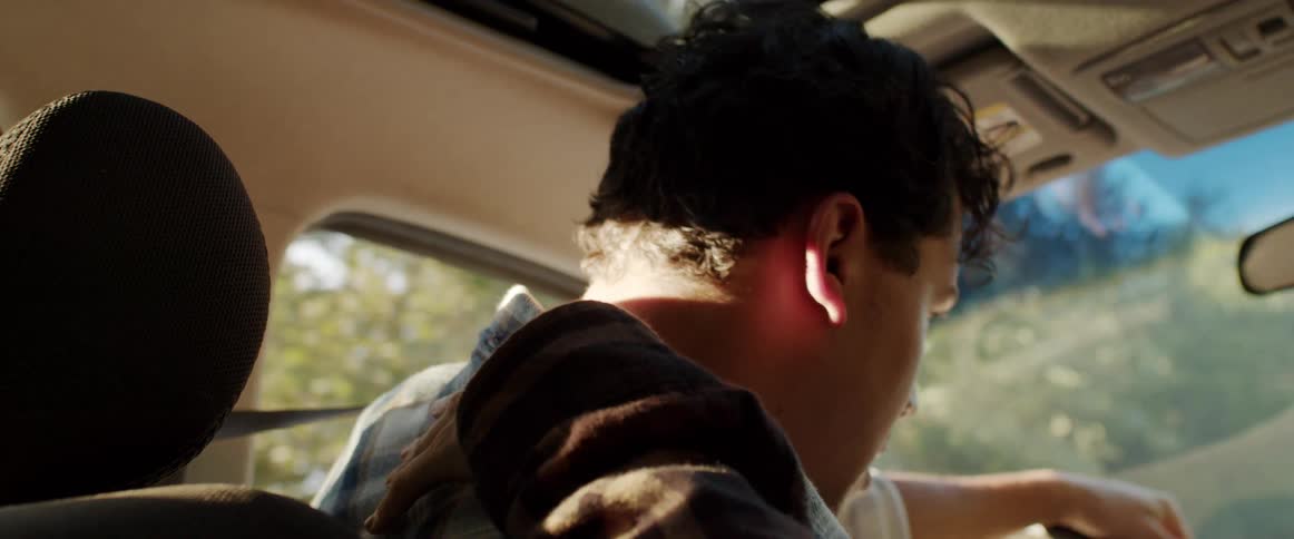 Blonde woman comforts a sad looking man as he drives a vehicle near the trees on a sunny day